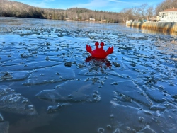 Fundraising Page Image